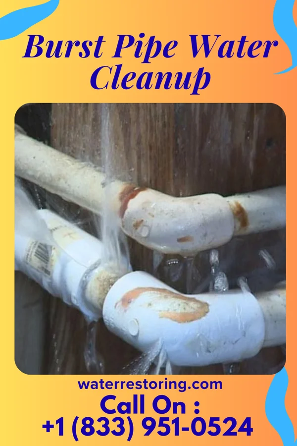 Burst Pipe Water Cleanup in Zwolle, LA