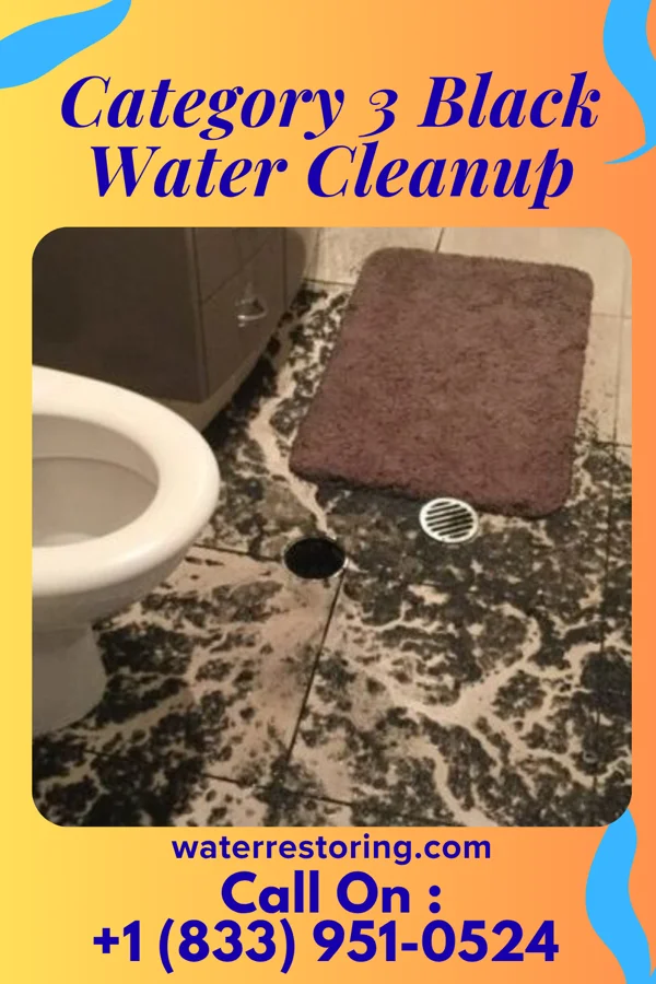 Category 3 Black Water Cleanup in Zwolle, LA