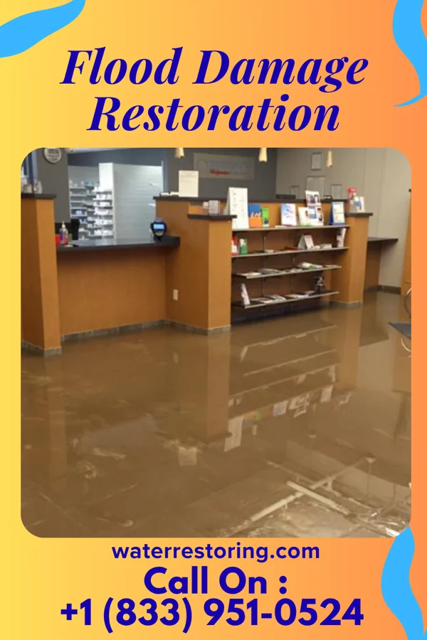 Flood Damage Restoration in Zwolle, LA
