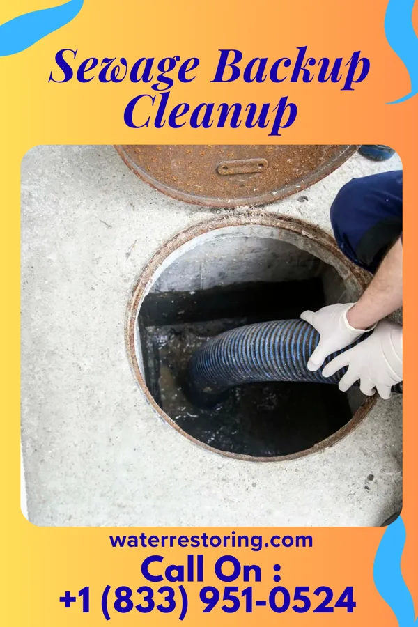 Sewage Backup Cleanup in Zwolle, LA