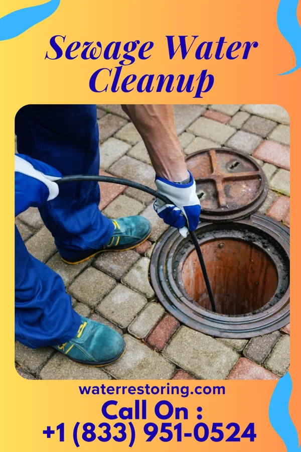 Sewage Water Cleanup in Zwolle, LA